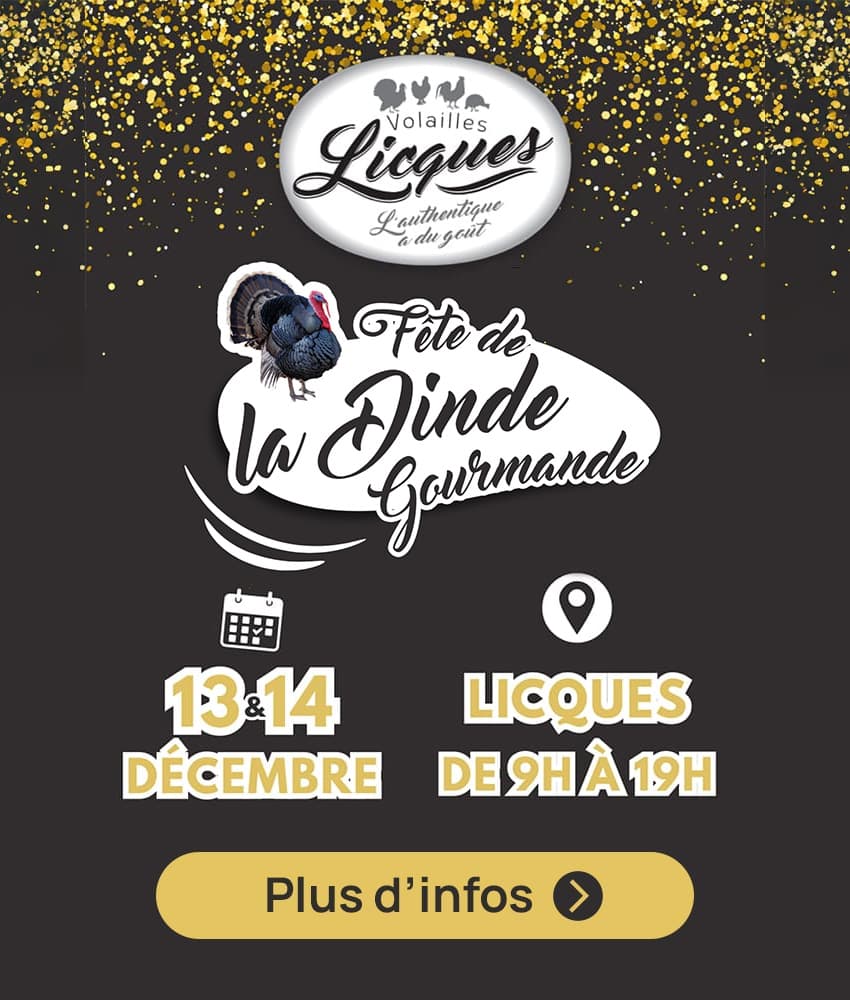 popin-fete-dinde-gourmande.jpg